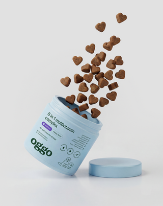 8 em 1 Complex alimento complementar multivitamínico para a saúde e energia do cão Oggo 180 g - 4