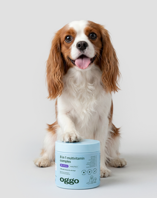 8 em 1 Complex alimento complementar multivitamínico para a saúde e energia do cão Oggo 180 g - 2