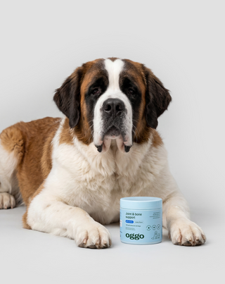 Joint & Bone Support alimento complementar para cães para articulações e ossos Oggo 180 g - 3