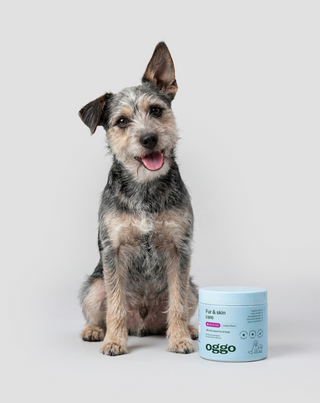 Fur & Skin alimento complementar para cães para um pelo bonito e uma pele saudável Oggo 180 g - 2