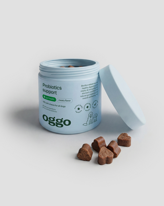 Probióticos para cães alimento complementar para cães para digestão, sistema digestivo e imunidade Oggo 180 g - 4