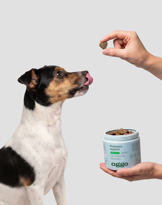 Probióticos para cães alimento complementar para cães para digestão, sistema digestivo e imunidade Oggo 180 g - 2