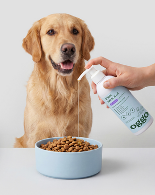 100% Óleo de Salmão alimento complementar para cães para imunidade e energia Oggo 250 ml - 3