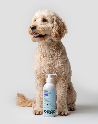 100% Óleo de Salmão alimento complementar para cães para imunidade e energia Oggo 250 ml - 2