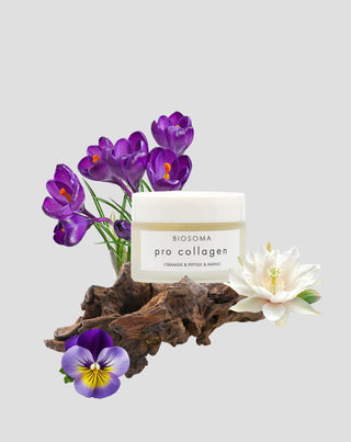 Creme facial Lifting PRO COLLAGEN Ceramidas e Péptidos Biosoma - 2