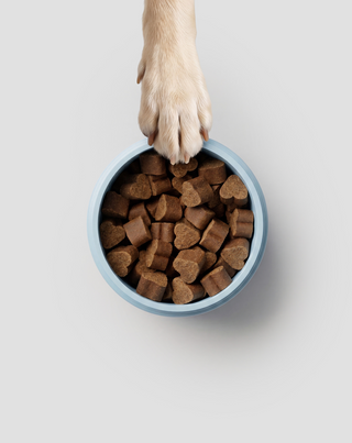Probióticos para cães alimento complementar para cães para digestão, sistema digestivo e imunidade Oggo 180 g - 5