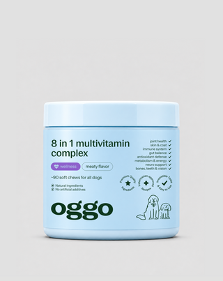 Multivitamínico para cães 8 em 1 para imunidade, pelo e vitalidade Oggo 180 g - 1
