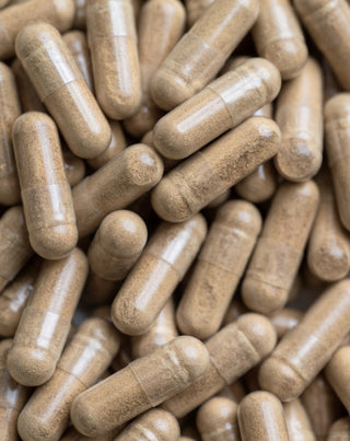 Mumio shilajit 20% ácidos fúlvicos com piperina para imunidade e energia Nutridome 60 cápsulas - 2
