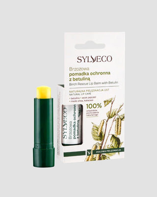 Batom protetor de madeira de bétula com betulina e óleos naturais Sylveco - 1