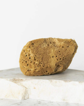 Esponja do mar natural castanha 9,5 cm 02F hipoalergénica e antibacteriana Hhuumm - 2