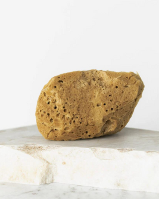 Esponja do mar natural castanha 9,5 cm 02F hipoalergénica e antibacteriana Hhuumm - 2