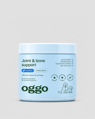 Suplemento para as articulações e os ossos de cães de raças grandes, ativos, mais idosos Joint & Bone Support Oggo 180 g - 1